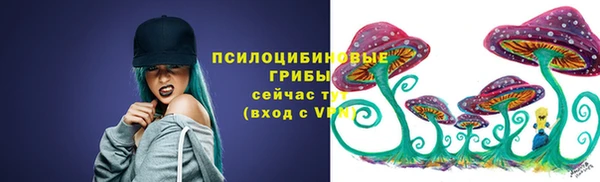 молекула духа Алексеевка