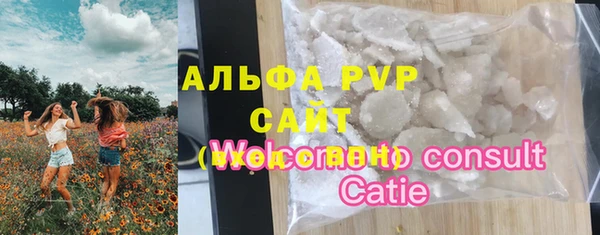 молекула духа Алексеевка