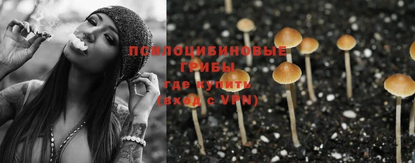 спайс Арсеньев