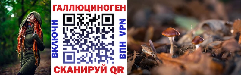 Псилоцибиновые грибы Magic Shrooms Междуреченск